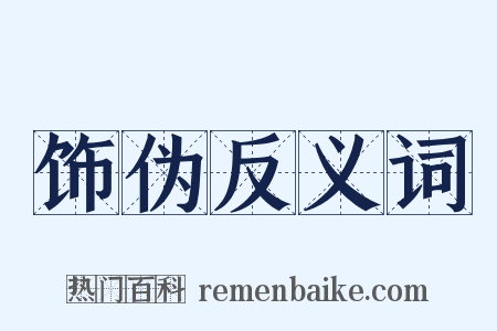 饰伪反义词是什么意思的图片